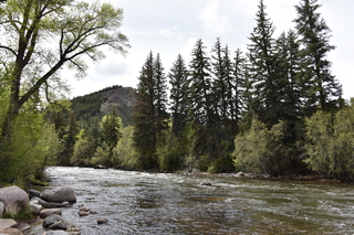 Filename=DSC_5128.JPG
Filesize=25879KiB
Dimensions=7360x4912
Date added=Sep 19, 2019 DSC_5128.JPG