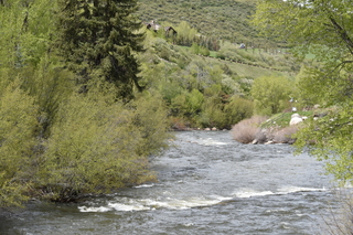 Filename=DSC_5129.JPG
Filesize=28289KiB
Dimensions=7360x4912
Date added=Sep 19, 2019 DSC_5129.JPG