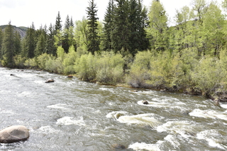 Filename=DSC_5130.JPG
Filesize=27713KiB
Dimensions=7360x4912
Date added=Sep 19, 2019 DSC_5130.JPG