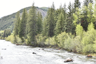 Filename=DSC_5131.JPG
Filesize=24346KiB
Dimensions=7360x4912
Date added=Sep 19, 2019 DSC_5131.JPG