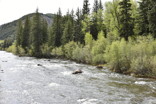 Filename=DSC_5132.JPG
Filesize=26473KiB
Dimensions=7360x4912
Date added=Sep 19, 2019 DSC_5132.JPG