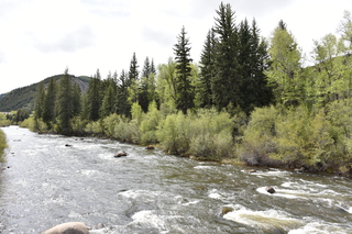 Filename=DSC_5133.JPG
Filesize=24757KiB
Dimensions=7360x4912
Date added=Sep 19, 2019 DSC_5133.JPG