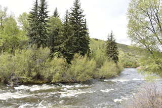 Filename=DSC_5134.JPG
Filesize=26952KiB
Dimensions=7360x4912
Date added=Sep 19, 2019 DSC_5134.JPG