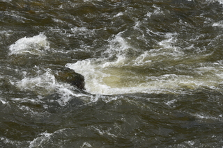 Filename=DSC_5135.JPG
Filesize=22742KiB
Dimensions=7360x4912
Date added=Sep 19, 2019 DSC_5135.JPG