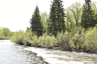 Filename=DSC_5139.JPG
Filesize=25153KiB
Dimensions=7360x4912
Date added=Sep 19, 2019 DSC_5139.JPG