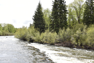 Filename=DSC_5140.JPG
Filesize=24962KiB
Dimensions=7360x4912
Date added=Sep 19, 2019 DSC_5140.JPG