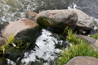 Filename=DSC_5144.JPG
Filesize=25612KiB
Dimensions=7360x4912
Date added=Sep 19, 2019 DSC_5144.JPG