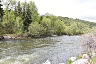 Filename=DSC_5145.JPG
Filesize=25484KiB
Dimensions=7360x4912
Date added=Sep 19, 2019 DSC_5145.JPG