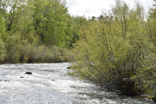 Filename=DSC_5150.JPG
Filesize=29483KiB
Dimensions=7360x4912
Date added=Sep 19, 2019 DSC_5150.JPG