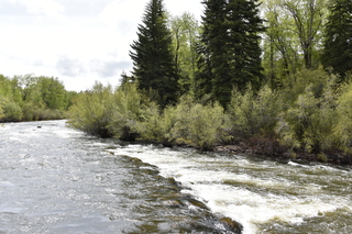 Filename=DSC_5152.JPG
Filesize=26713KiB
Dimensions=7360x4912
Date added=Sep 19, 2019 DSC_5152.JPG