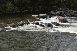 Filename=DSC_5158.JPG
Filesize=22714KiB
Dimensions=7360x4912
Date added=Sep 19, 2019 DSC_5158.JPG