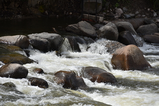 Filename=DSC_5159.JPG
Filesize=21288KiB
Dimensions=7360x4912
Date added=Sep 19, 2019 DSC_5159.JPG