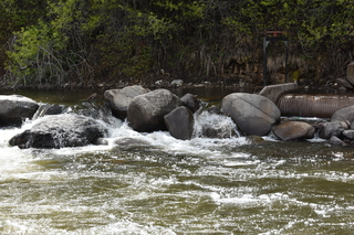 Filename=DSC_5163.JPG
Filesize=25619KiB
Dimensions=7360x4912
Date added=Sep 19, 2019 DSC_5163.JPG