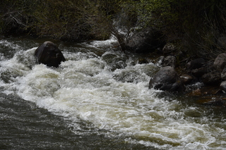 Filename=DSC_5170.JPG
Filesize=25913KiB
Dimensions=7360x4912
Date added=Sep 19, 2019 DSC_5170.JPG