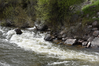 Filename=DSC_5171.JPG
Filesize=27734KiB
Dimensions=7360x4912
Date added=Sep 19, 2019 DSC_5171.JPG