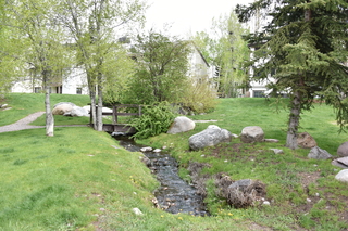 Filename=DSC_5176.JPG
Filesize=27197KiB
Dimensions=7360x4912
Date added=Sep 19, 2019 DSC_5176.JPG