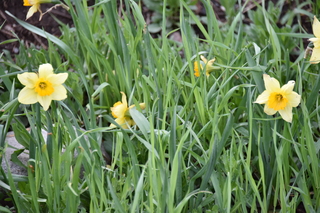 Filename=DSC_5178.JPG
Filesize=17674KiB
Dimensions=7360x4912
Date added=Sep 19, 2019 DSC_5178.JPG