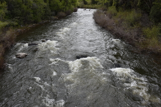 Filename=DSC_5181.JPG
Filesize=24964KiB
Dimensions=7360x4912
Date added=Sep 19, 2019 DSC_5181.JPG