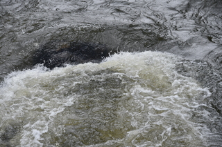 Filename=DSC_5182.JPG
Filesize=22614KiB
Dimensions=7360x4912
Date added=Sep 19, 2019 DSC_5182.JPG