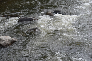 Filename=DSC_5183.JPG
Filesize=25963KiB
Dimensions=7360x4912
Date added=Sep 19, 2019 DSC_5183.JPG