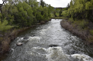 Filename=DSC_5184.JPG
Filesize=26591KiB
Dimensions=7360x4912
Date added=Sep 19, 2019 DSC_5184.JPG