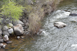 Filename=DSC_5185.JPG
Filesize=26057KiB
Dimensions=7360x4912
Date added=Sep 19, 2019 DSC_5185.JPG