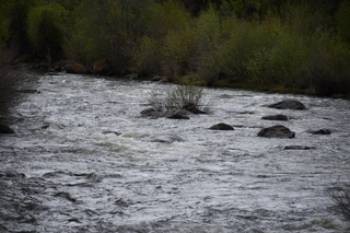 Filename=DSC_5186.JPG
Filesize=20211KiB
Dimensions=7360x4912
Date added=Sep 19, 2019 DSC_5186.JPG