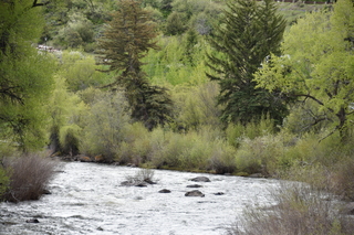 Filename=DSC_5187.JPG
Filesize=25535KiB
Dimensions=7360x4912
Date added=Sep 19, 2019 DSC_5187.JPG