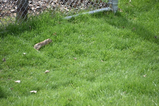 Filename=DSC_5192.JPG
Filesize=23255KiB
Dimensions=7360x4912
Date added=Sep 19, 2019 DSC_5192.JPG