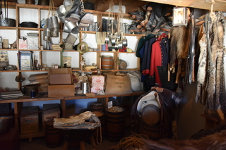 Filename=DSC_5197~0.JPG
Filesize=17452KiB
Dimensions=7360x4912
Date added=Oct 22, 2021 DSC_5197~0.JPG