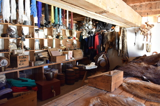 Filename=DSC_5202~0.JPG
Filesize=17846KiB
Dimensions=7360x4912
Date added=Oct 22, 2021 DSC_5202~0.JPG