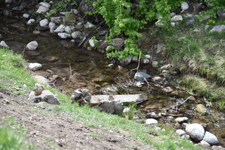 Filename=DSC_5203.JPG
Filesize=22550KiB
Dimensions=7360x4912
Date added=Sep 19, 2019 DSC_5203.JPG