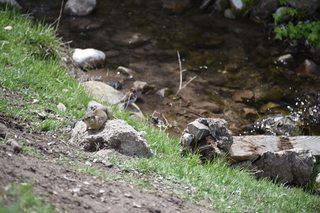 Filename=DSC_5204.JPG
Filesize=18922KiB
Dimensions=7360x4912
Date added=Sep 19, 2019 DSC_5204.JPG