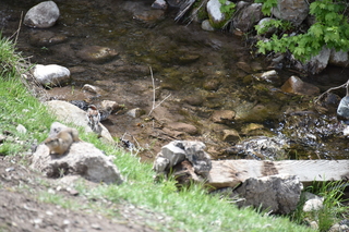 Filename=DSC_5205.JPG
Filesize=19586KiB
Dimensions=7360x4912
Date added=Sep 19, 2019 DSC_5205.JPG