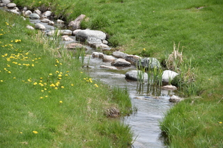 Filename=DSC_5210.JPG
Filesize=22615KiB
Dimensions=7360x4912
Date added=Sep 19, 2019 DSC_5210.JPG