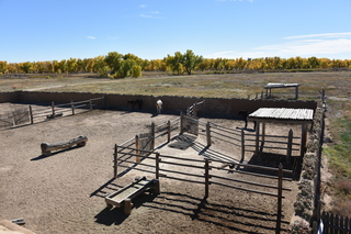 Filename=DSC_5219~0.JPG
Filesize=23737KiB
Dimensions=7360x4912
Date added=Oct 22, 2021 DSC_5219~0.JPG