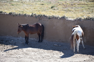 Filename=DSC_5220~0.JPG
Filesize=20463KiB
Dimensions=7360x4912
Date added=Oct 22, 2021 DSC_5220~0.JPG