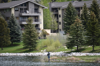 Filename=DSC_5236.JPG
Filesize=21312KiB
Dimensions=7360x4912
Date added=Sep 19, 2019 DSC_5236.JPG