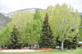 Filename=DSC_5241.JPG
Filesize=23925KiB
Dimensions=7360x4912
Date added=Sep 19, 2019 DSC_5241.JPG