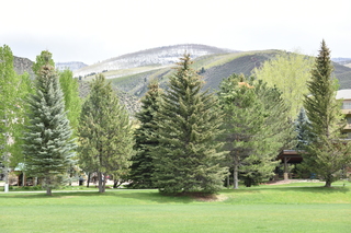 Filename=DSC_5245.JPG
Filesize=21454KiB
Dimensions=7360x4912
Date added=Sep 19, 2019 DSC_5245.JPG