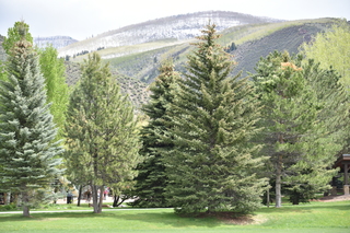 Filename=DSC_5246.JPG
Filesize=23532KiB
Dimensions=7360x4912
Date added=Sep 19, 2019 DSC_5246.JPG