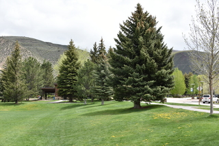 Filename=DSC_5251.JPG
Filesize=21940KiB
Dimensions=7360x4912
Date added=Sep 19, 2019 DSC_5251.JPG