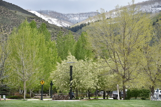 Filename=DSC_5252.JPG
Filesize=26609KiB
Dimensions=7360x4912
Date added=Sep 19, 2019 DSC_5252.JPG