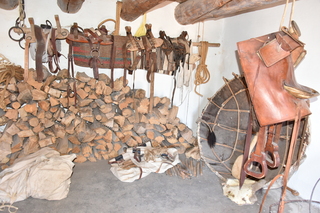 Filename=DSC_5252~0.JPG
Filesize=18397KiB
Dimensions=7360x4912
Date added=Oct 22, 2021 DSC_5252~0.JPG