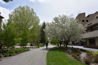 Filename=DSC_5257.JPG
Filesize=24681KiB
Dimensions=7360x4912
Date added=Sep 19, 2019 DSC_5257.JPG