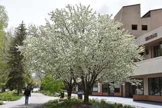 Filename=DSC_5258.JPG
Filesize=26191KiB
Dimensions=7360x4912
Date added=Sep 19, 2019 DSC_5258.JPG