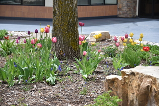 Filename=DSC_5263.JPG
Filesize=19791KiB
Dimensions=7360x4912
Date added=Sep 19, 2019 DSC_5263.JPG