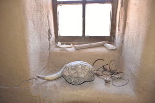 Filename=DSC_5266~0.JPG
Filesize=16577KiB
Dimensions=7360x4912
Date added=Oct 22, 2021 DSC_5266~0.JPG