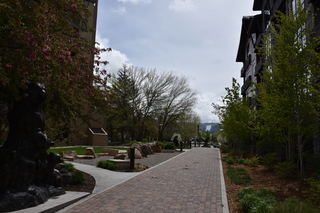 Filename=DSC_5267.JPG
Filesize=20807KiB
Dimensions=7360x4912
Date added=Sep 19, 2019 DSC_5267.JPG