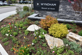 Filename=DSC_5274.JPG
Filesize=25349KiB
Dimensions=7360x4912
Date added=Sep 19, 2019 DSC_5274.JPG